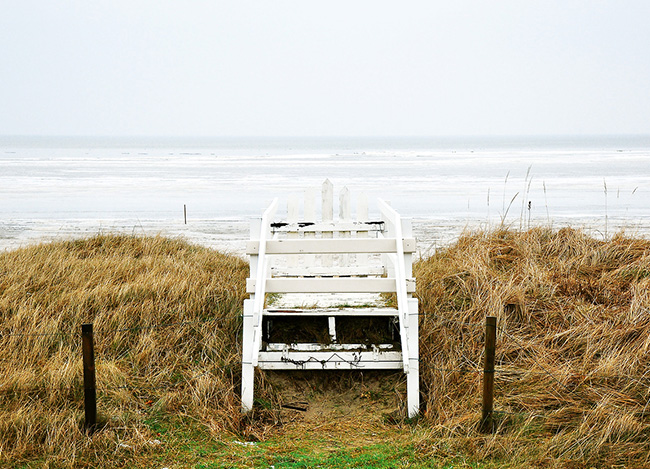 在线轰炸网页版